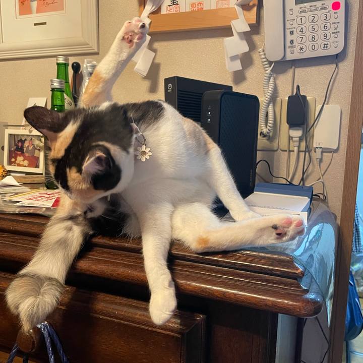 E4a2aea5 2dd3 438b 9677 672a92e11b6f 1682324738577