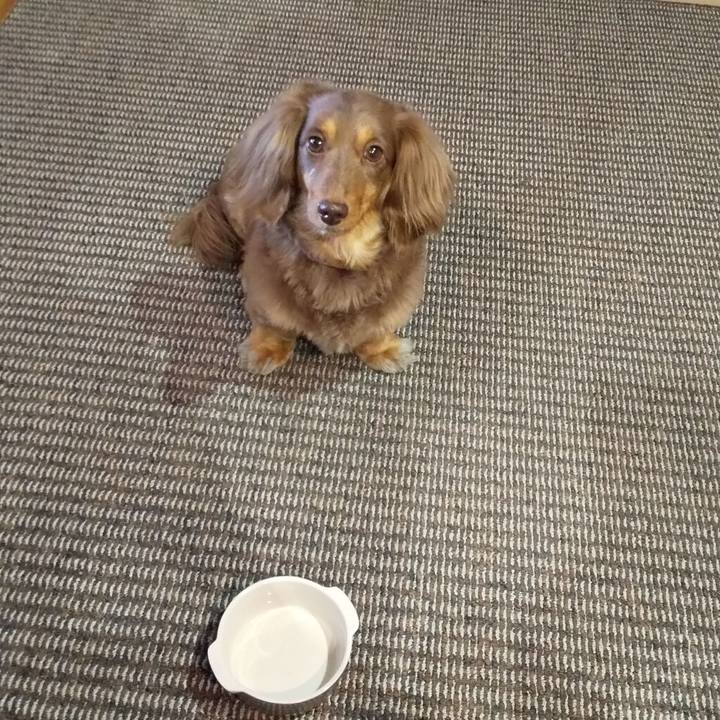 E4a2b9db 1521 4994 b24a bfdc5b2d872f 1589714568415