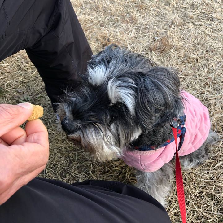 E4a2bd57 6aaf 400d b4f4 525b602f1756 1613299493044