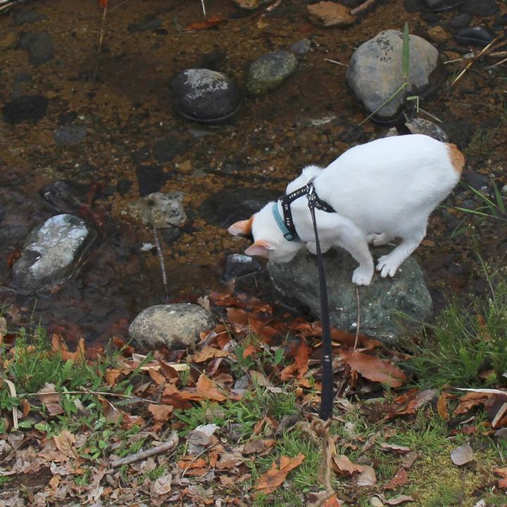 E4a2ce17 6c92 4829 9086 877a5d68f883 1555329866158