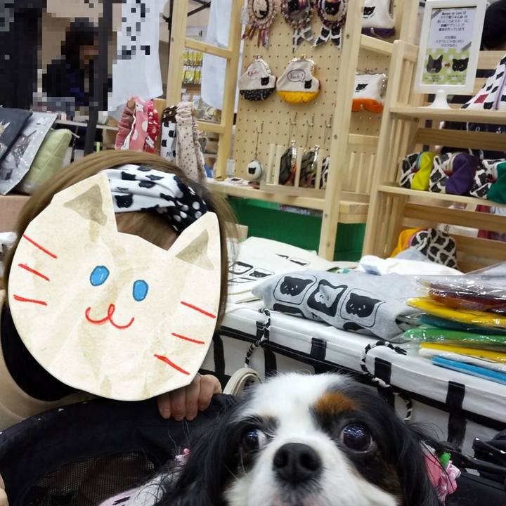 E4a2df4e 4960 445f 98eb 55624e25c1a5 1574087472629