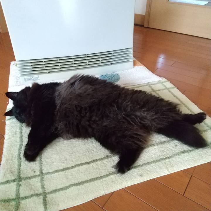 E4a2f208 9727 4741 8f1c aae07f85ba2f 1642374028257