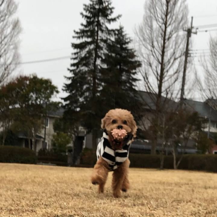 E4a310c1 e037 402b 9a48 a4649f919ef8 1580308505258