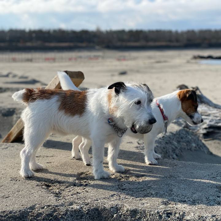 E4a31ea9 a17d 47c7 91d7 f907dbbb4580 1648082291000