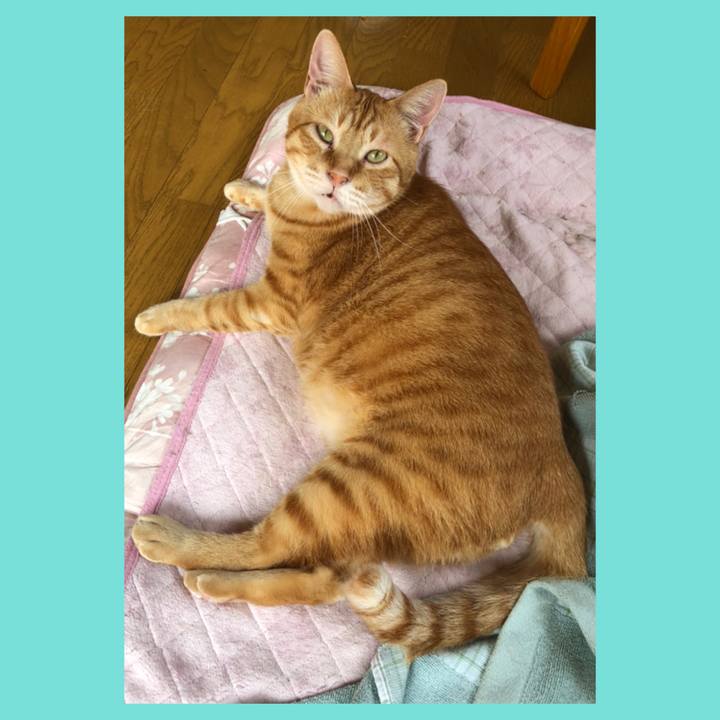 E4a331be 8650 4d3b 98e9 4781895b44ee 1563582264772