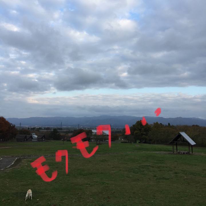 E4a36b24 4dd3 45db a2a8 c841681b4ed5 1541578614664