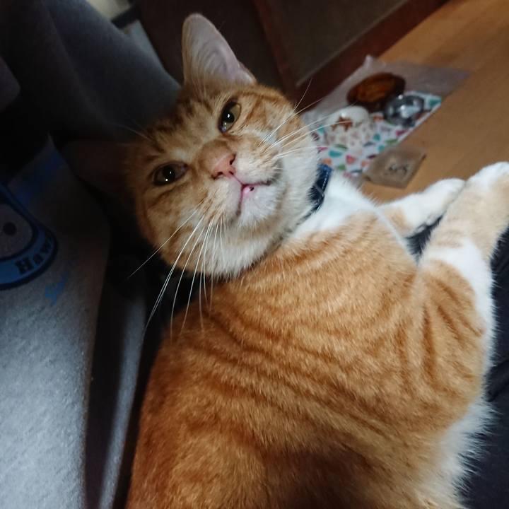 E4a38f88 e8ff 4359 851e 015ee226fd45 1602931909973