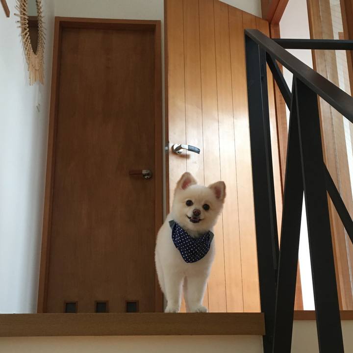 E4a397d1 b679 4b02 b1d4 8d1974472378 1598529709936