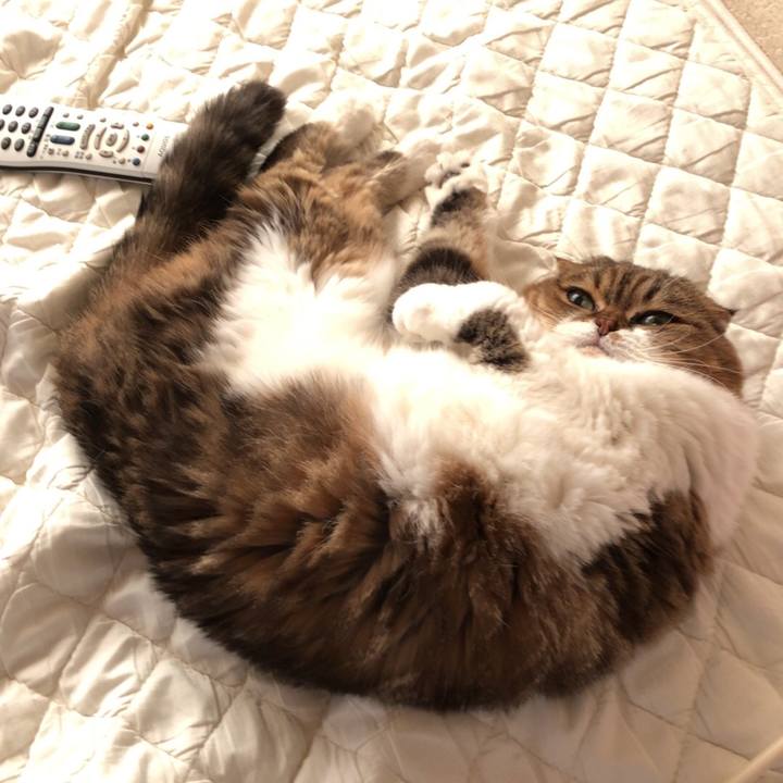 E4a3e648 9bec 4620 a08f b7eb3ee8e9fb 1540763969328