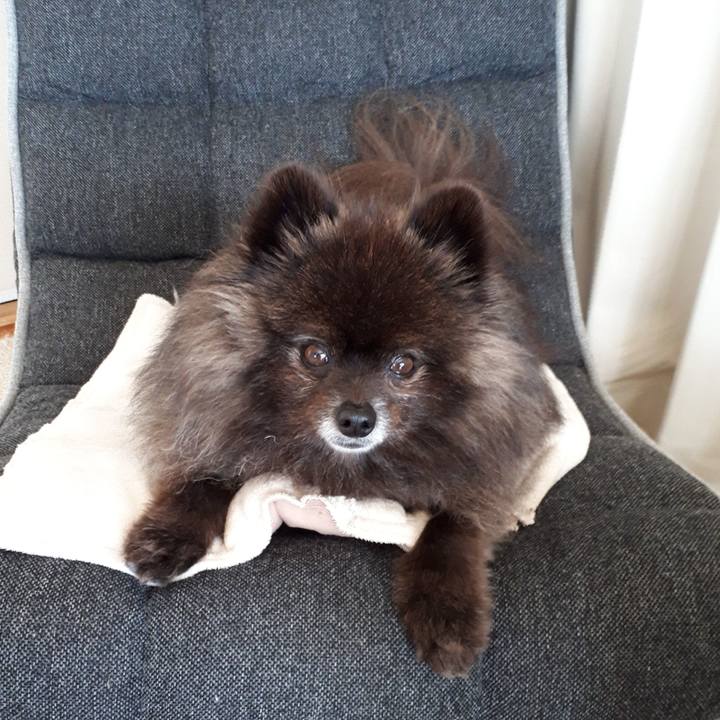 E4a3ec46 be53 479f bdf8 9cbc87fc4cd4 1521768206627