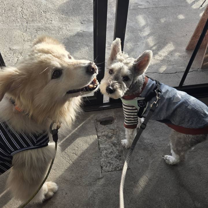 E4a407cd 463b 41b2 9276 abfb4c9ec200 1761021970928