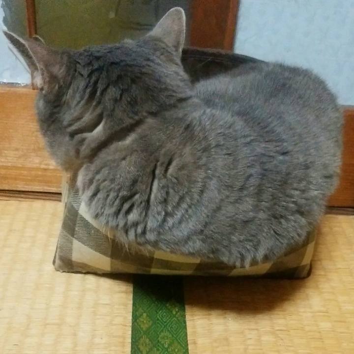 E4a41d2c 7c54 4236 ac50 29049f44b172 1592825807199