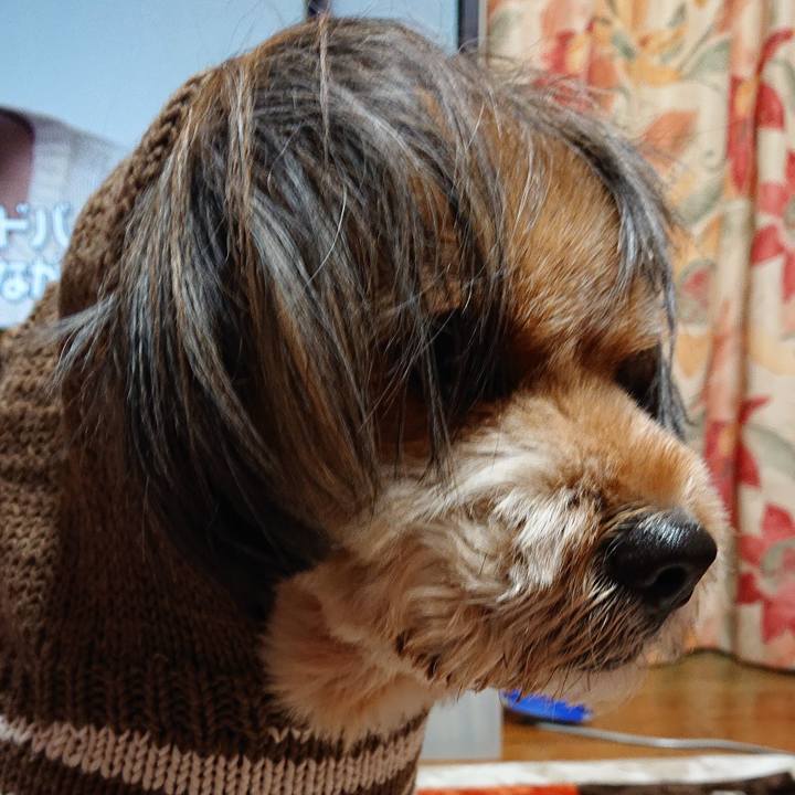 E4a43183 694e 4a04 963a 85da2c2b6a9c 1545747128054