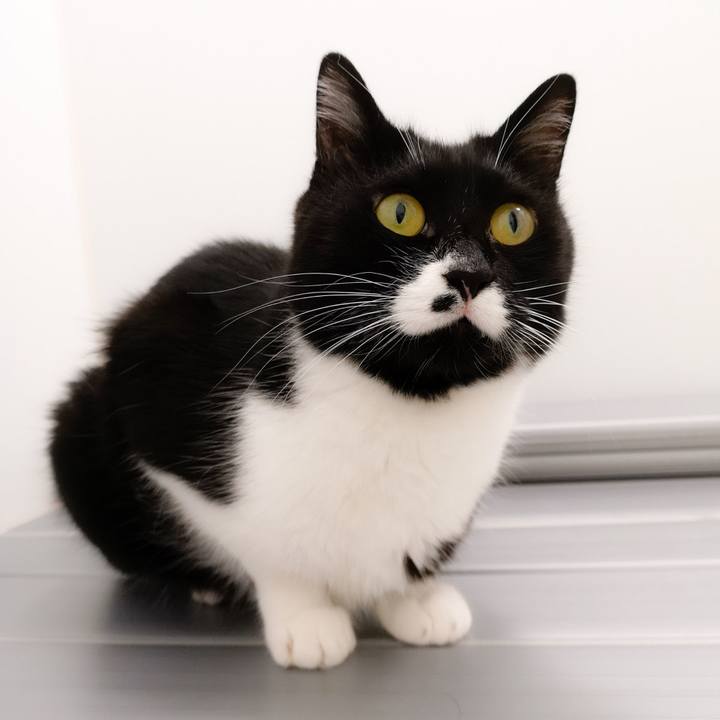 E4a464d5 3c2c 4c08 89fb 0f8cf0382028 1561725023202