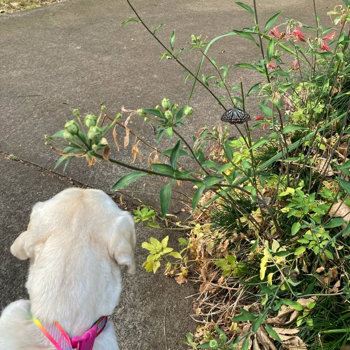 E4a4a8aa e2b9 4bf1 a85b b6385223c2cb 1752150617967