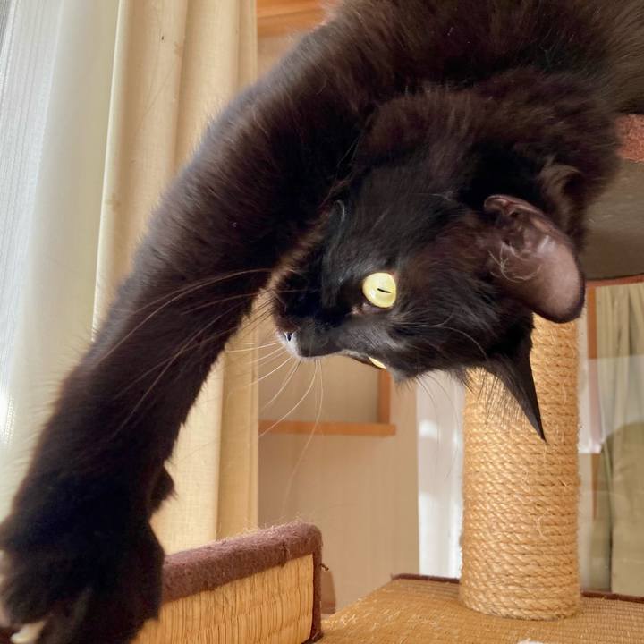 E4a4d39e a661 466b b9f3 4d4e4f853d06 1739266039806