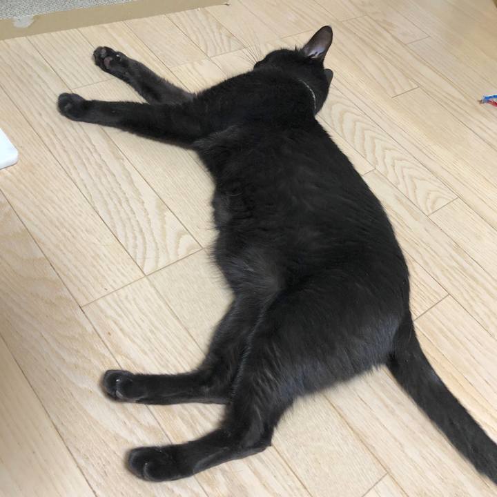 E4a4f3ec 8f19 4c78 a169 e1727ccc6124 1597324768035