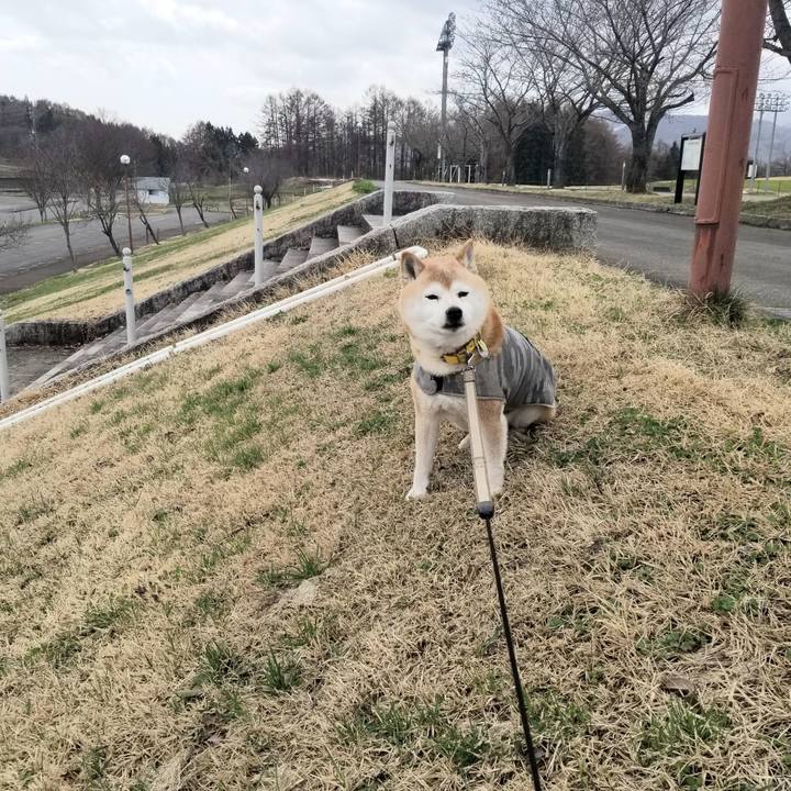 E4a500b1 a389 4b42 bba8 5b9cd80d8a84 1679888121323