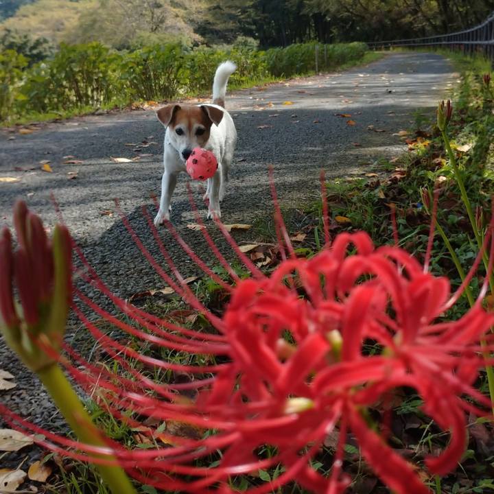 E4a50648 4619 41e0 bf3d 2afe23181f07 1759057466768