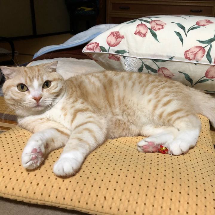 E4a524c6 448a 417c b819 352f1a8569bb 1551629877063