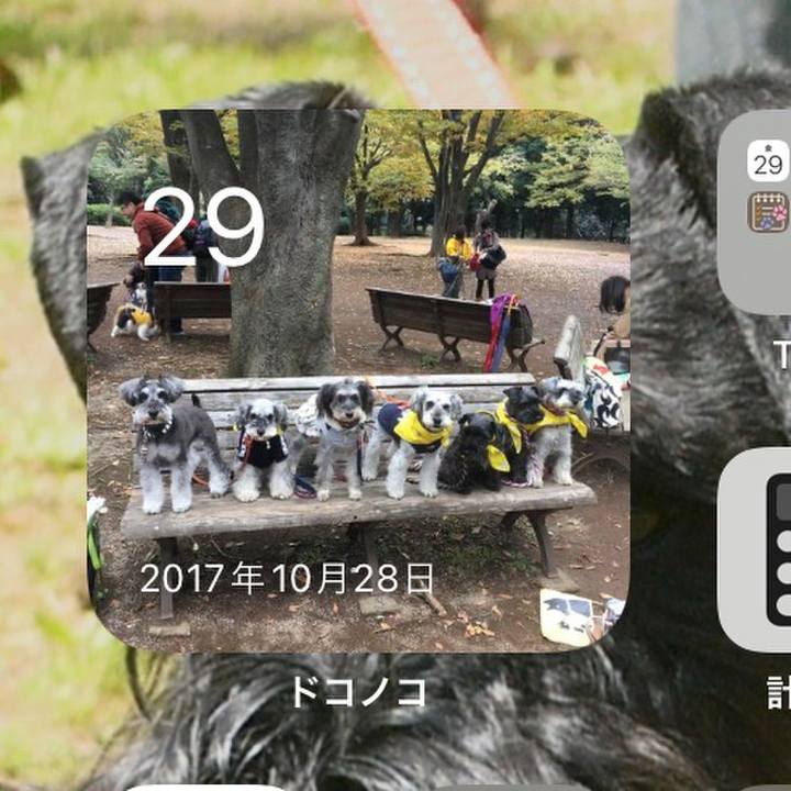 E4a529df ccca 43e3 b2aa 993d44a2ea8c 1635483263342