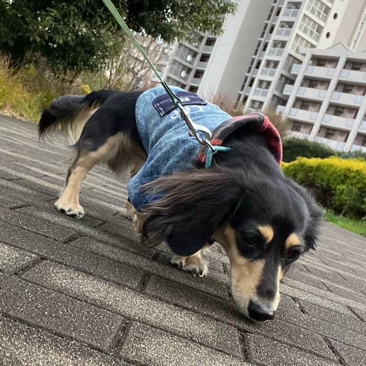 E4a569f5 8199 4298 80ca dd72b019235d 1704339016755