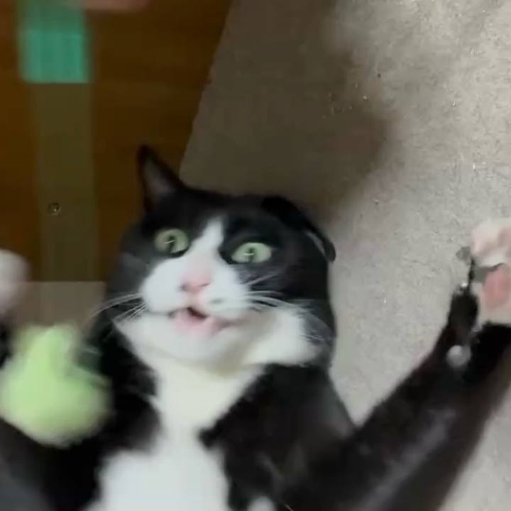 E4a57a0e 7d20 46b2 8acc 99cb55c48da9 1769421131131