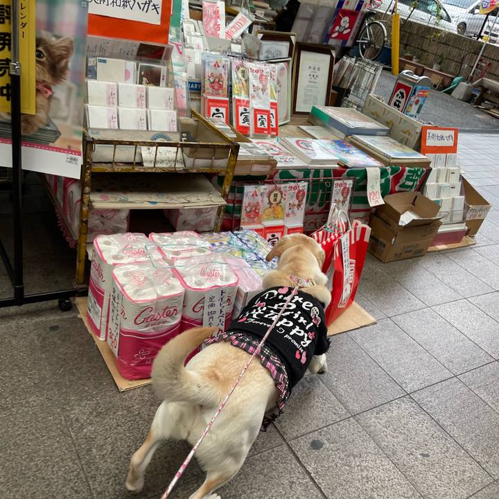 E4a5ca8c d8a2 4406 9b78 2d2618bbee1b 1637065014281