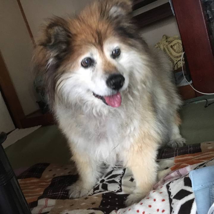 E4a60ad2 d272 4058 89c9 c334ec4ff549 1599695289335