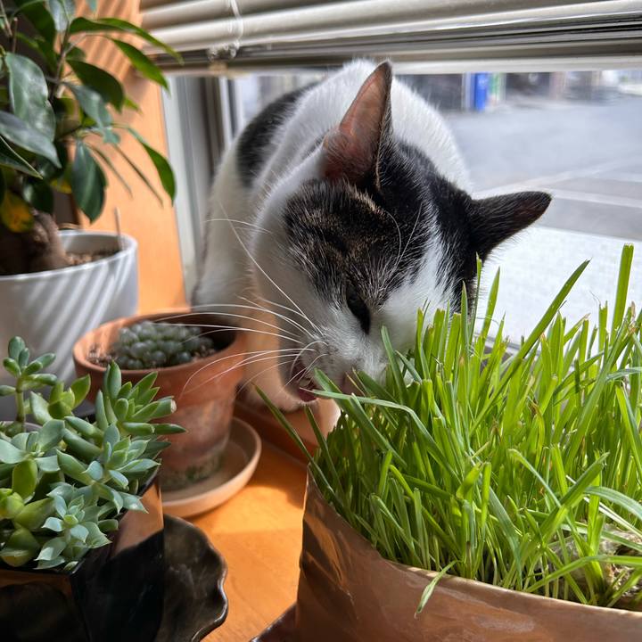 E4a61c98 5826 41a3 b910 809ed2ea0705 1720227485630