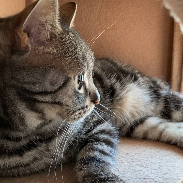 E4a640a9 2752 4d1a 9921 88433edc4075 1647416235001