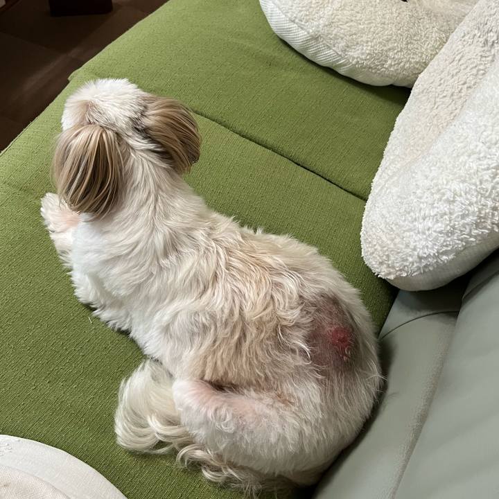 E4a6513d cc3d 4484 bf63 6ac20d856bb2 1725869684177