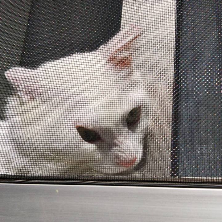 E4a6544e f8b3 45a5 a5a5 8d4bdd1e27bd 1719127567553