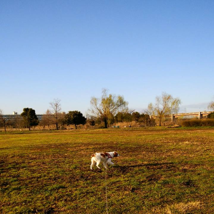 E4a6550d dcde 4d52 afc7 6810fdd24931 1552003315386