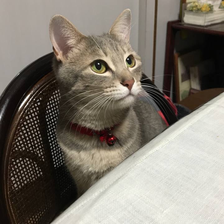 E4a6677c 1680 4dda 8d11 d45af11a7ebb 1550973065507