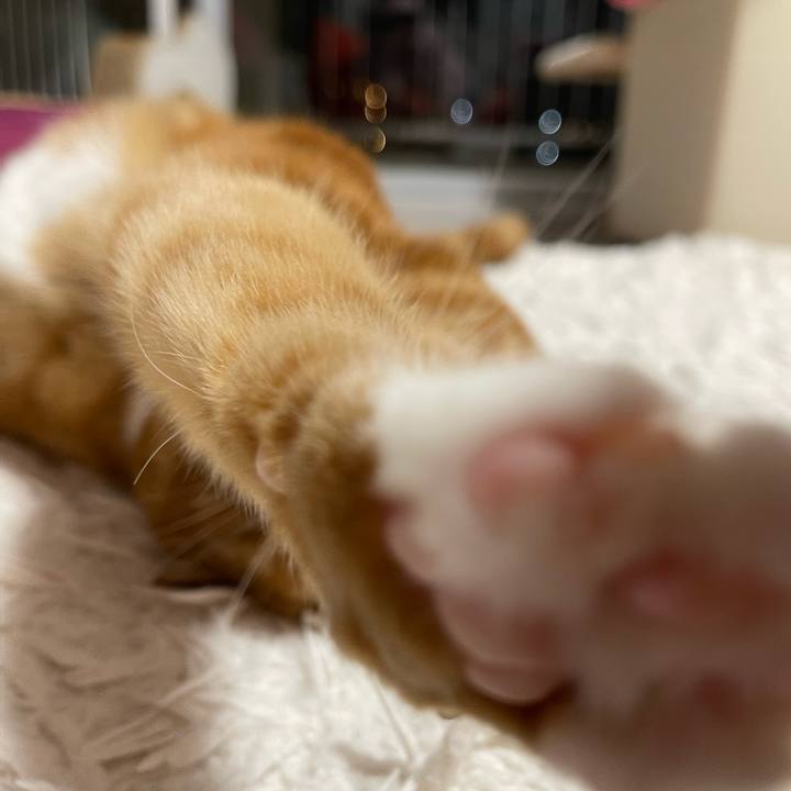 E4a6a266 2726 428e b71b bdab6e8b2979 1702208044171