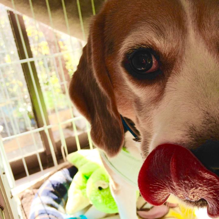 E4a6ac7f 443d 49d9 8f02 4bafac7e9d31 1732925295890