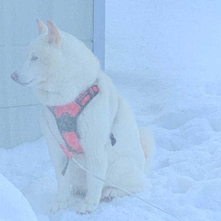 E4a6b812 d332 4e59 affd 799f855db401 1610839013227