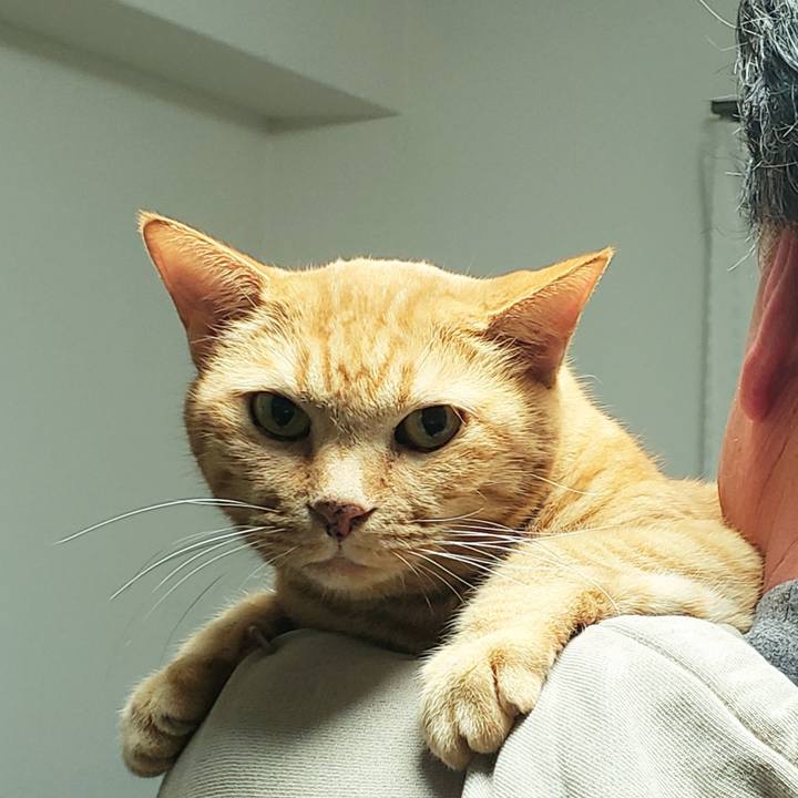 E4a6b97f dc9f 4a9c 91ce f8c5b4e6c7c1 1722916036619