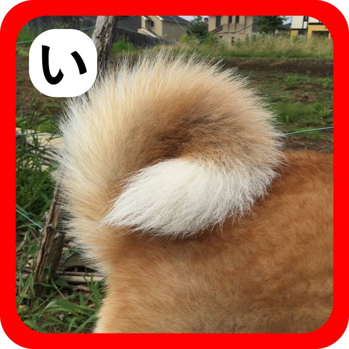 E4a71e5d 8751 4db7 bd20 a696692a30bf 1514990544654