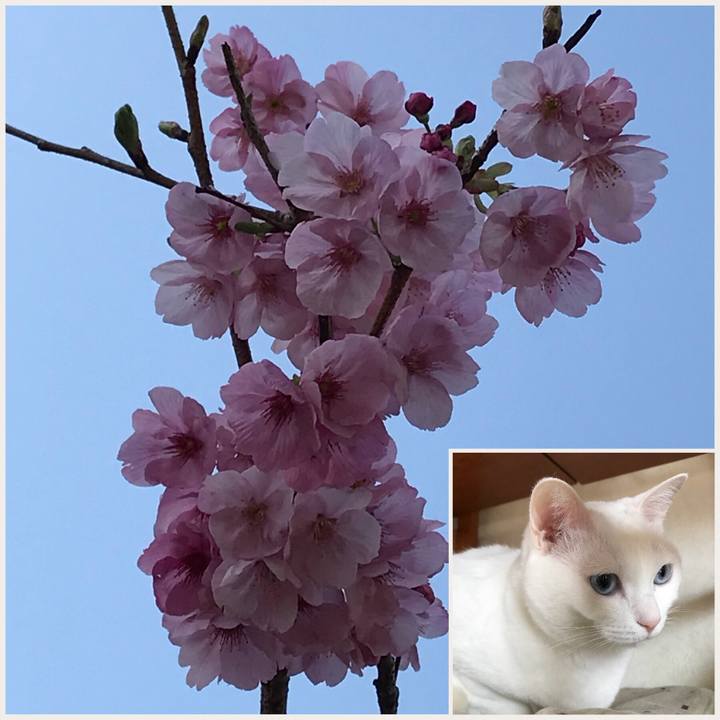 E4a74587 853c 4f35 ac36 593a0c778281 1521773726663