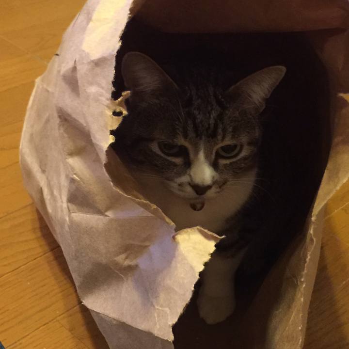 E4a76064 a0cf 4b84 932a 7ff6e332610c 1556706360722