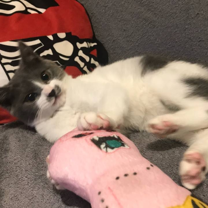 E4a772aa b5cf 4594 9171 ea558d06c62d 1690530707887