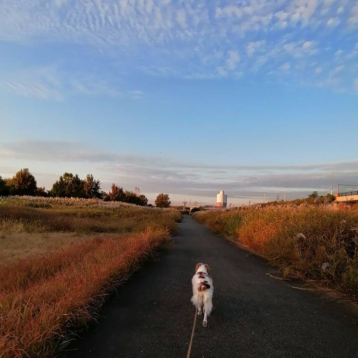 E4a77b77 e2bf 48fe ac44 8823adf3d3f6 1604664790232