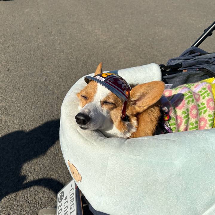 E4a78e19 5fc0 4c06 a7f2 0caaff4ab1ab 1769915448383