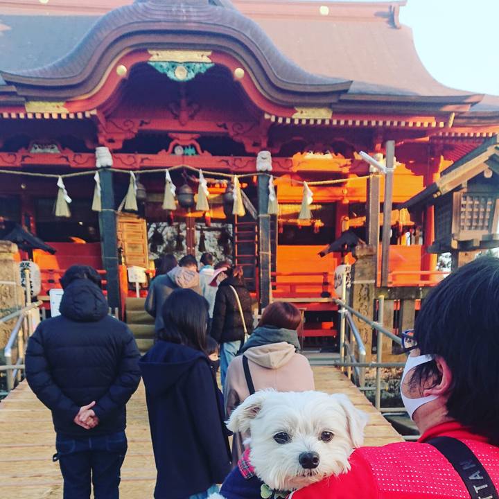 E4a793d6 0e02 4fd6 9dc0 4ff0fb34c165 1609660944277