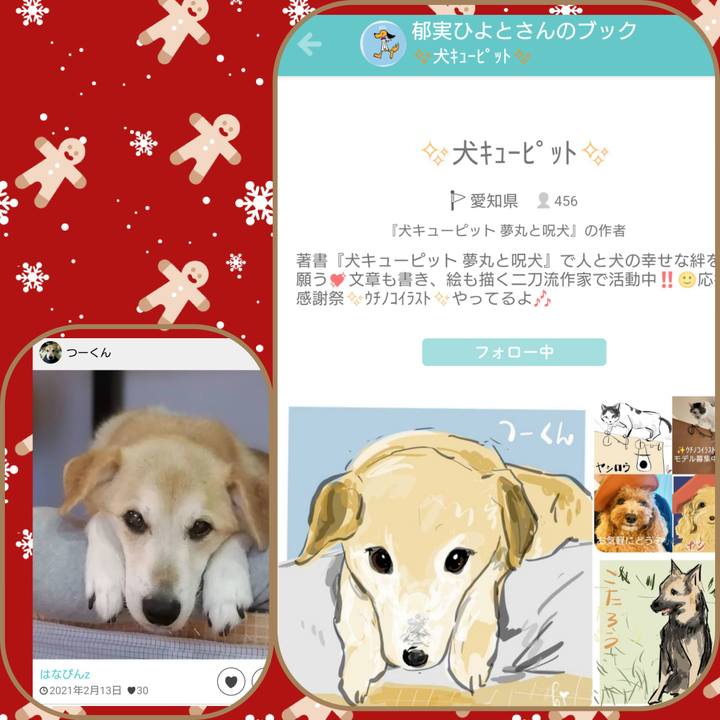 E4a79e1c 7a23 4d59 9710 f68df1b95083 1671855004788