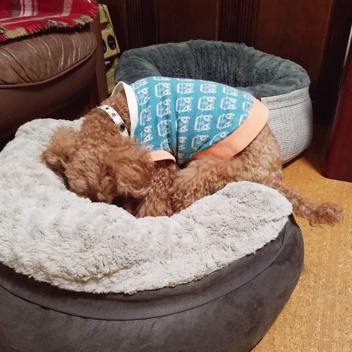 E4a7b017 1360 474d ad6a 7420afd92c93 1547072989670