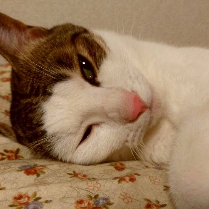 E4a7ba3f 1c49 4307 ac0d 5e8cd8a93d49 1691495877333