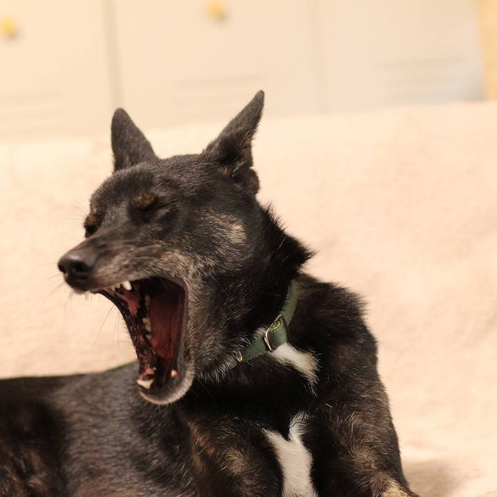 E4a7d944 e850 4ce1 a9f5 f390654a4bf1 1545177458142